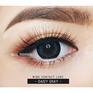 Daizy Daisy Gray Brown คอนแทคเลนส์ บิ๊กอายตาโต Sweety Prettydoll Lollipop Pitchylens 0.00