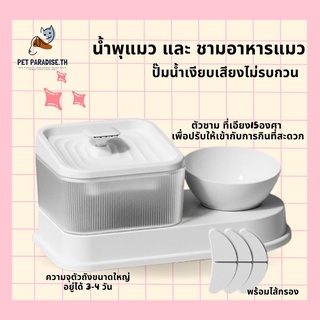 🌈[PetParadise.th]✨ชามอาหารสัตว์เลี้ยง 2in1 ที่ให้อาหารสัตว์เลี้ยง ที่ให้น้ำสัตว์เลี้ยง  ถ้วยอาหาร ชามแมว