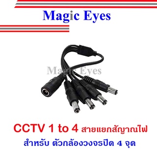 CCTV 1 to 4  สายแยกสัญญาณสำหรับกล้องวงจรปิด  4 จุด หรือ GLink CCTV 1 to 4  สายแยกสัญญาณสำหรับกล้องวงจรปิด  4 จุด