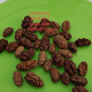 จี้ rudraksha mukhi ขนาดเล็ก 1 ชิ้น