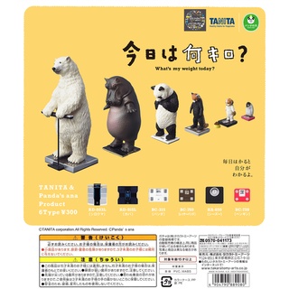 Gashapon Animal Tanita Panda’s Ana What’s My Weight Today กาชาปอง เครื่องชั่ง น้ำหนัก ทานิต้า แพนด้า หมีขาว สุนัข ฮิปโป