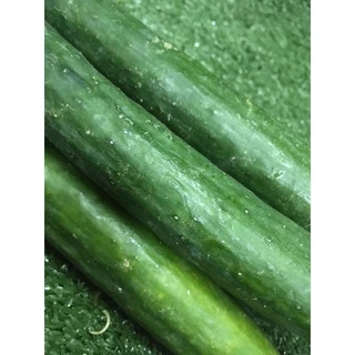 แตงกวาญี่ปุ่นสด ปลอดสาร 🥒- มีใบรับรอง แตงกวายาว ผักผลไม้