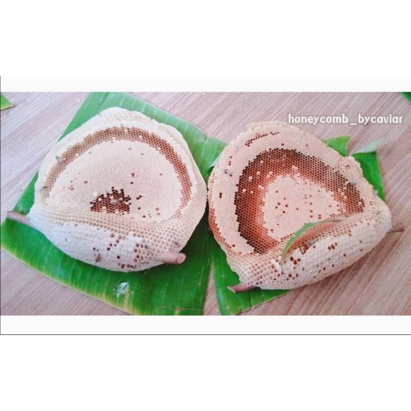 รังผึ้งจัดเซ็ทคุ้มๆ 🐝รังผึ้งป่า น้ำผึ้งป่าแท้💯% #Bycaviar - รูปที่ 7