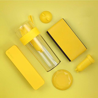 แก้วน้ำชงชา มีตัวกรองใบชา ขนาด 450 ml. สีเหลือง