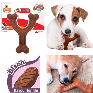 Nylabone Power Chew ของเล่นขัดฟัน Wishbone