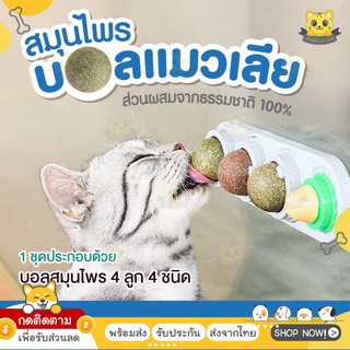 ❤️Catnip ออร์แกนิค ของเล่นแมว บอลcatnip แบบเลีย❤️แคทนิปบอล Catnip Ball กัญชาแมว ขนมแมว ของเล่นแมวเลีย แปะกำแพง