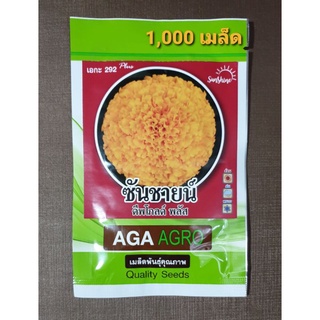 เมล็ดดาวเรืองซันชายน์ ดีพโกลด์ พลัส สีทองเข้ม 1,000เมล็ด ทนร…