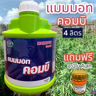 แมมมอท คอมบิ 4 ลิตร แถมฟรี อะมีโนคีเลท 100 cc.