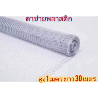 ตาข่ายเอ็นพลาสติก สำหรับกันนก กรงไก่ ทำกรงสัตว์ ขนาด 1x30 เมตร (**ตอนส่งจำเป็นต้องพับครึ่ง**)