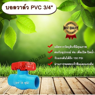 บอลวาล์ว PVC 3/4” (6 หุน) ตราลัคกี้ Lucky 6 หุน ประตูเปิดปิดน้ำ บอลวาล์วพีวีซี แบบสวม Ball Valve allaboutplants