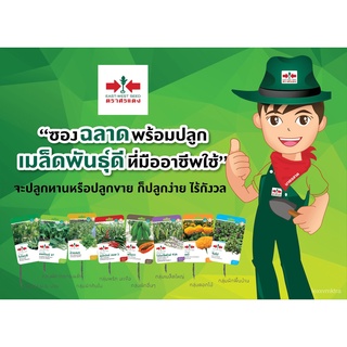 เมล็ดอวบอ้วน100%East-West Seed เมล็ดพันธุ์แคนตาลูป (Melon seeds) กนกกาญจน์ 108 F1 เมล็ดพันธุ์เมล่อน เมล็ดพันธุ์ ผักสวนคร