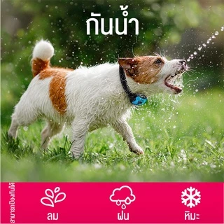 No.99🐶ปลอกคอ สำหรับป้องกันการเห่า แบบชาร์จไฟได้ ความเร็ว 7ระดับ ป้องกันการเห่า USB สําหรับฝึกสุนัข สุนัขขนาดเล็กถึงใหญ่