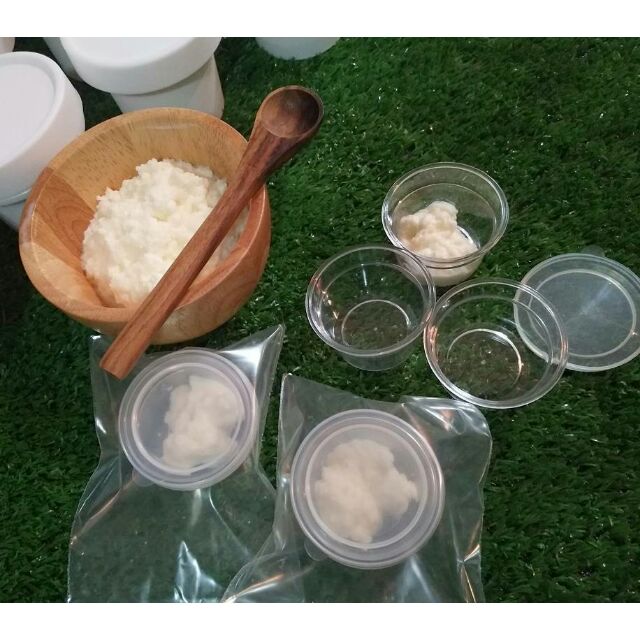 Kefir Milk grains 10 g (หัวเชื้อคีเฟอร์)