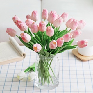 Tulip flower — ดอกทิวลิป