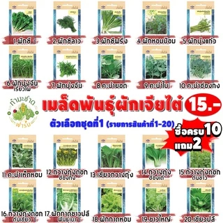 เจียไต๋15฿#1 [10แถม2] เมล็ดพันธุ์ผัก สวนครัว เจียไต๋ เม็ดผัก ผักชี ผักบุ้ง คะน้า กวางตุ้ง ผักกาด ถั่ว บวบ แตง เมล็ดพืช