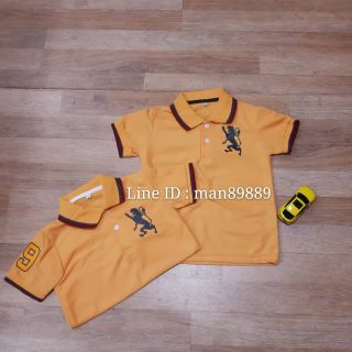 เสื้อโปโลเด็ก  เสื้อโปโลสิงห์เด็ก เสื้อเด็ก