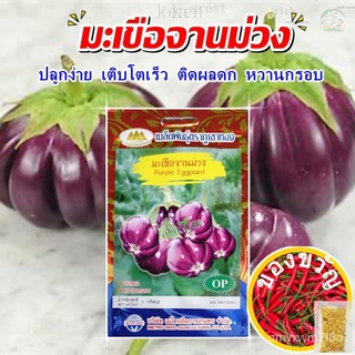 เมล็ดมะเขือจานม่วง Purple Eggplant ตราภูเขาทอง เมล็ดพันธุ์ผัก เมล็ดมะเขือ เมล็ดพันธุ์มะเขือ เมล็ดผักสวนครัวสร้อยข้อมือ/แ