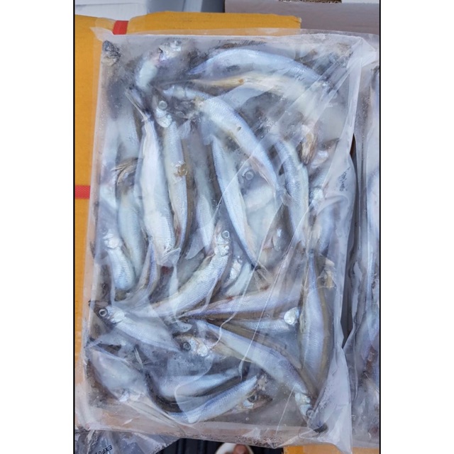 ปลาไข่ เกรดเอ ไข่ล้วนๆ