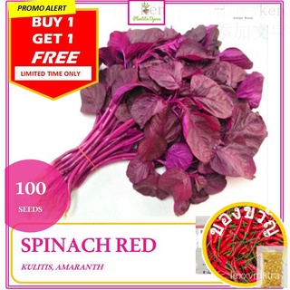 BUY1 TAKE 1 RED SPINACH AMARANTH (100 SEEDS) พาสต้า/ดอกไม้/หมวก/กางเกง/คื่นฉ่าย/สวน/家和花园/กุหลาบ/แม่และเด็ก/เด็ก/ EDTM