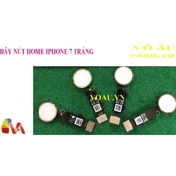ปุ่มโฮม IPHONE 7 PLUS, ZIN, BEAUTIFUL, QUALITY