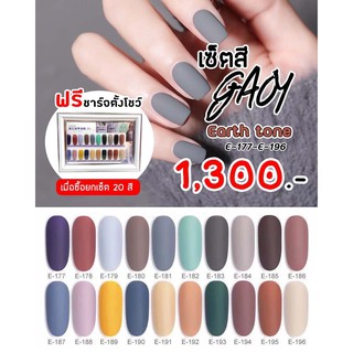 เซ็ตสีเจล Gaoy 7.3ml. แถมชาาร์จสี พร้อมทาสี Earth ton Color Gel E-177 - E196