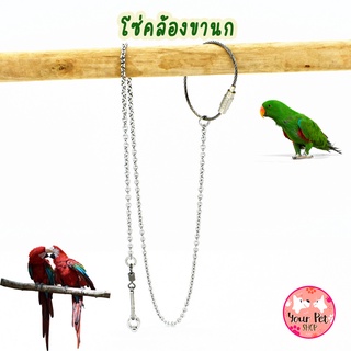 โซ่คล้องขานก ห่วงเปิดขานก Bird นกแก้ว ฟอพัส หงส์หยก คอนัวร์ เลิฟเบิร์ด นกฟินซ์