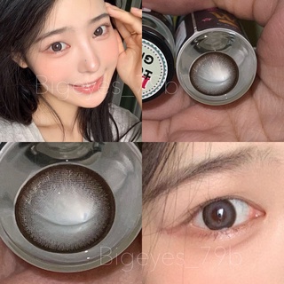 ✨Gray ขนาดตาโต (Bigeyes)☀️กรองแสง uv ✔️จดทะเบียนถูกต้อง 🇰🇷เลนส์สัญชาติเกาหลี🇰🇷