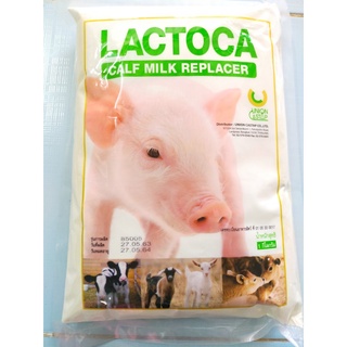 แลคโตคา Lactoca 1kg.