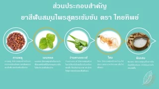 ไทยทิพย์ ยาสีฟันสมุนไพรสูตรเข้มข้น