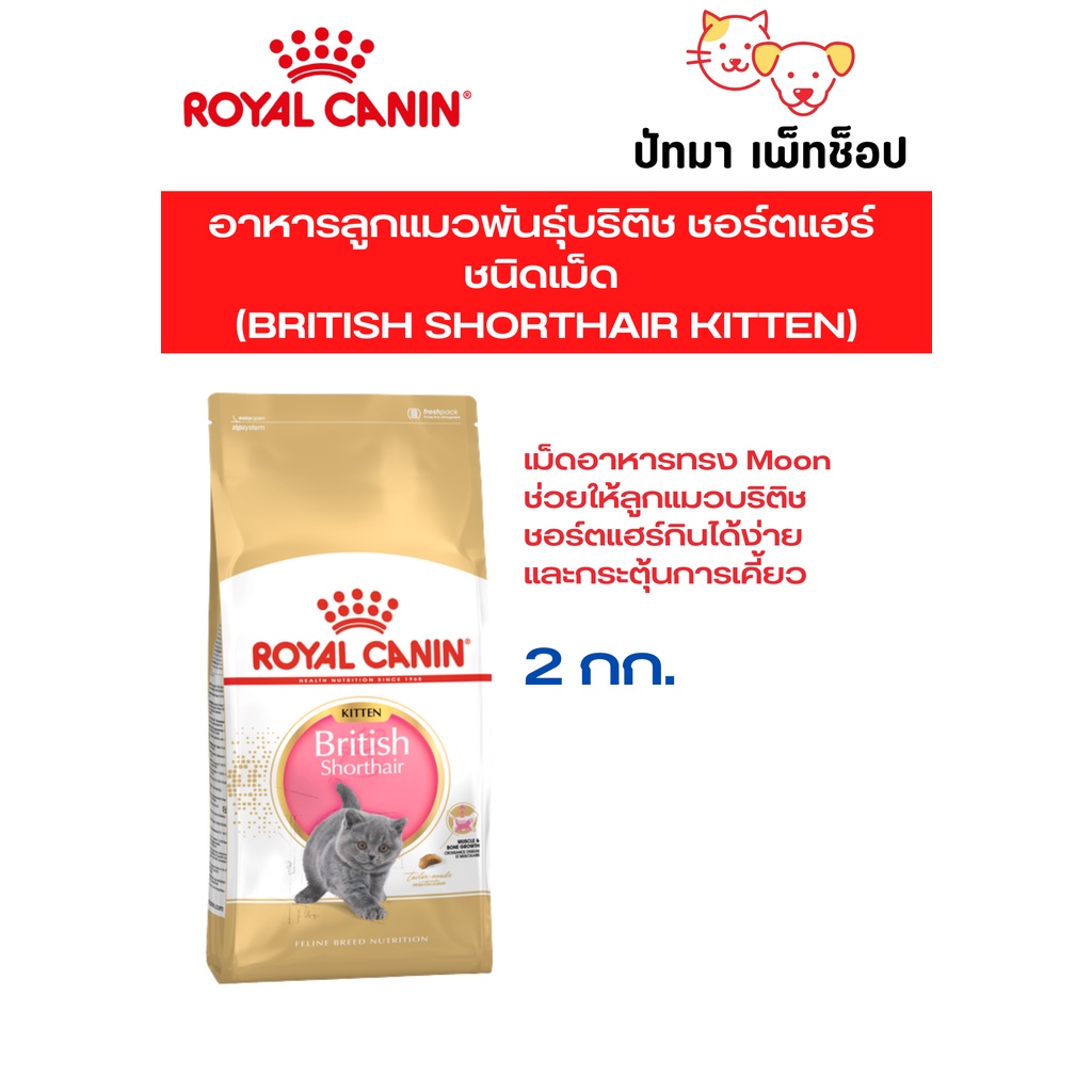 ( 2 กก. ) British Shorthair Kitten / Royal Canin อาหารเม็ด สำหรับแมวโต พันธุ์บริติช ชอร์ตแฮร์