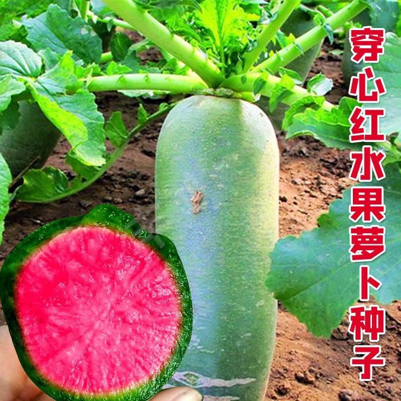 My Image 26