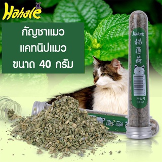 กัญชาแมว แคทนิปแบบหลอด ขนาด 40 ml