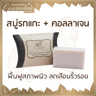 สบู่รกแกะคอลลาเจน - Corriedale Sheep Placenta Soap : ต่อต้านริ้วรอย ไม่แห้งกร้านหลังการล้างหน้า ด้วยรกแกะ+คอลลาเจน