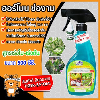 ปุ๋ยน้ำ สูตรเร่งใบ-เร่งต้น ขนาด 500 ซีซี.(Liquid fertilizer)ช่องาม ฮอร์โมนพืช  ธาตุอาหารเสริม ธาตุอาหารรอง ปุ๋ยน้ำทางใบ