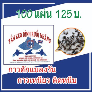 1000​ แผ่น​ กาวแมลงวัน​ กาวดักแมลงวัน​ แมลงวัน​ ดำจัดแมลงวัน