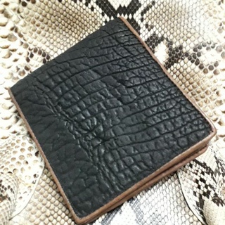 sllifator crocodile shark  bifold wallet กระเป๋าสตางค์หนังปลาฉลามแท้