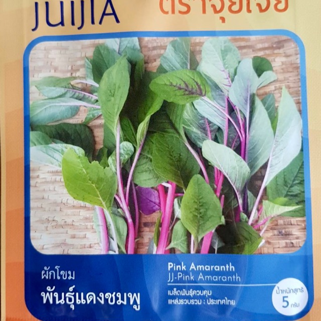 จุยเจีย ผักโขม แดงชมพู (ประมาณ 6000 เมล็ด)