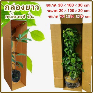 กล่องยาว 20×100×20 cm แพค 20 ใบ