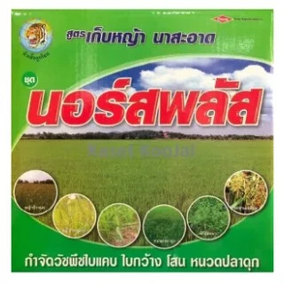 นอร์สพลัส กำจัดหญ้าในนาข้าว ยาฆ่าหญ้าในนาข้าว หญ้าใบแคบ ใบกว้าง เช่น หญ้ากระดูกไก่ หลักนา ข้าวนก กก โสน