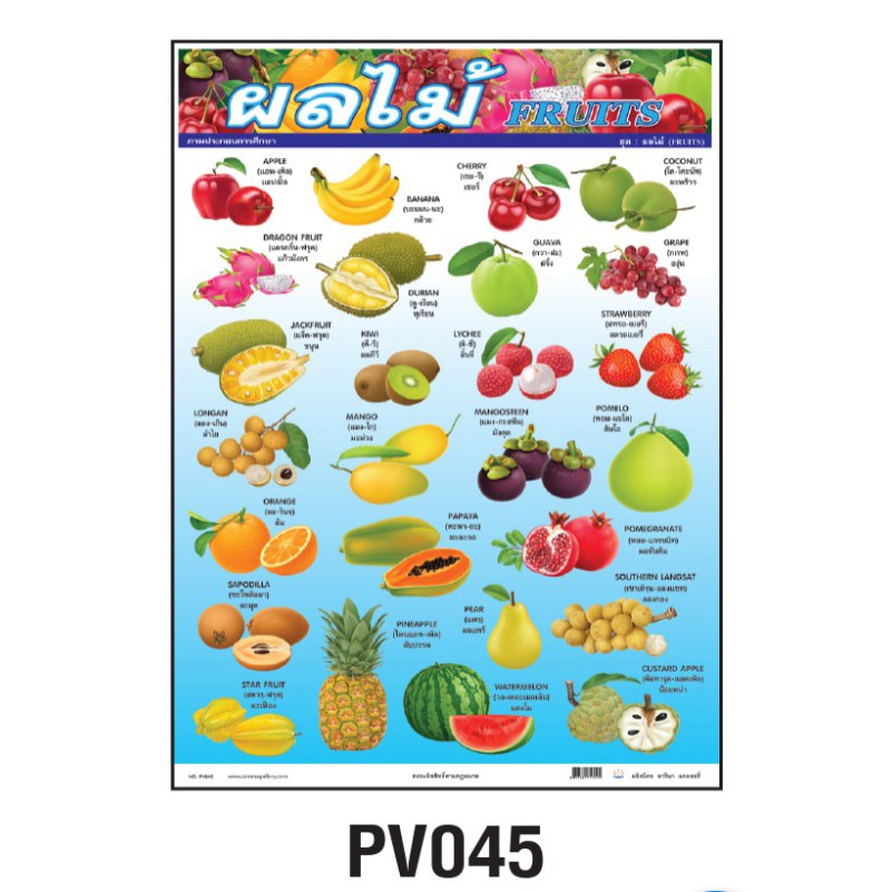 โปสเตอร์ผลไม้ (Fruits) #PV045 โปสเตอร์ภาพประกอบการเรียนรู้ สื่อการเรียนการสอน โปสเตอร์พลาสติก สีสันสดใส