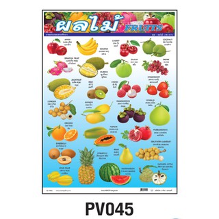 โปสเตอร์ผลไม้ (Fruits)  #PV045 โปสเตอร์ภาพประกอบการเรียนรู้ สื่อการเรียนการสอน โปสเตอร์พลาสติก สีสันสดใส