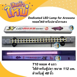 Dedicated LED Lamp for Arowana หลอดไฟสำหรับปลามังกรแดง T10 หลอด 4 แถวใช้สำหรับตู้ปลา ขนาด 112 cm. สำหรับตู้ 48 นิ้ว