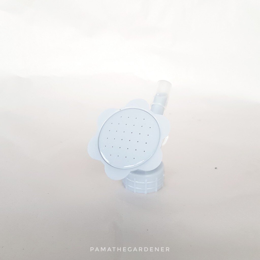 มุมมอง 4