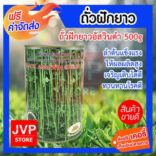 **ส่งฟรี**เมล็ดถั่วฝักยาวคัดพิเศษอัสวินดำ 500g. ตราภูเขาทอง ลำต้นแข็งแรง ฝักเขียว ให้น้ำหนักดี ระยะการเก็บเกี่ยวนาน