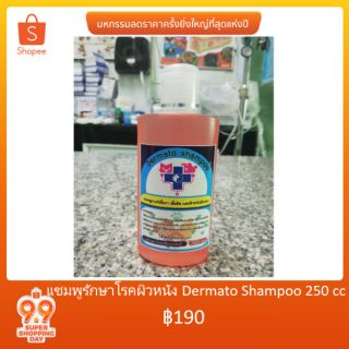 แชมพูรักษาโรคผิวหนัง Dermato Shampoo 250 cc