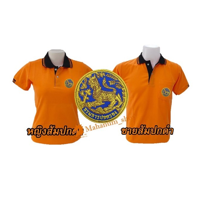My Image 20
