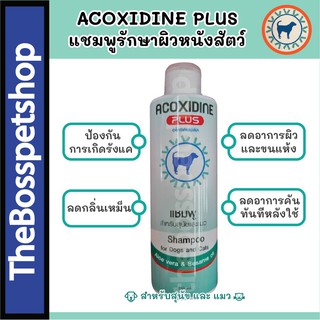 ACOXIDINE PLUS แชมพูสำหรับสุนัขและแมว ช่วยรักษาโรคผิวหนัง ยีสต์ เชื้อรา และแบคทีเรีย 250ml  ล่วงอายุ 21/3/2024