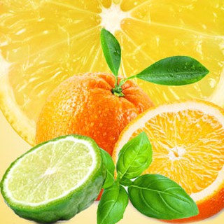 4 Oz น้ำหอม NG Natures Garden นำเข้าจากอเมริกา กลิ่น  NG COOL CITRUS &amp; BASIL TYPE FRAGRANCE OIL ขนาด 2 ออนซ์