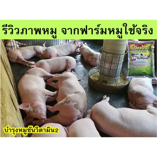 วิตามินหมู บำรุงหมูขุน อาหารเสริมหมู สารผสมล่วงหน้าเสริมวิตามิน ฟาร์มหมูใช้จริง ชุดนี้ 4 กิโล