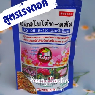 ปุ๋ยออสโมโค้ท สูตรบำรุงต้น สูตรเร่งดอก แบ่งขายและแบบห่อ ราคาถูก พร้อมส่งจ้า ปุ๋ยละลายช้า ปุ๋ยแคคตัส